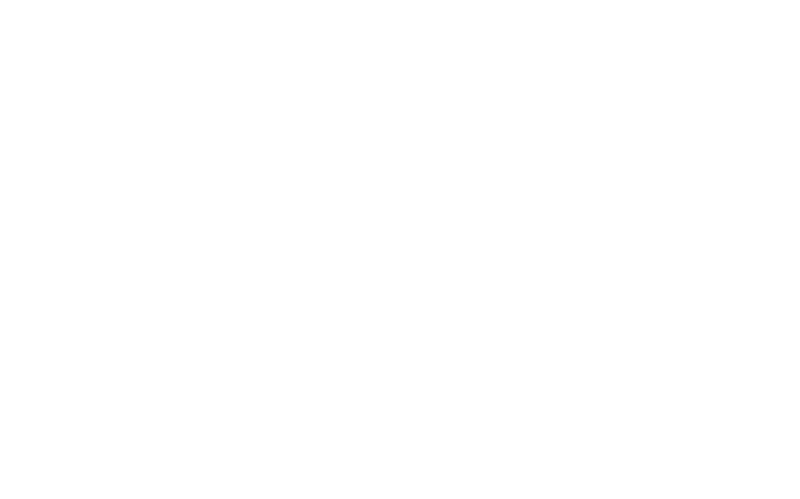 DRYSHOT